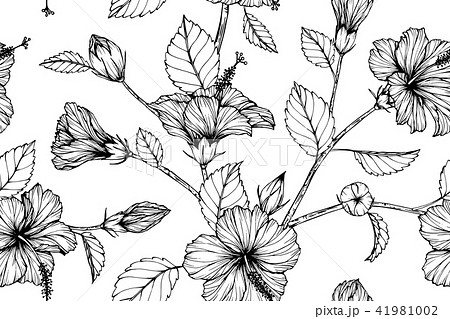 Seamless Hibiscus flower pattern background.  41981002