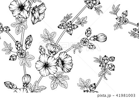 Seamless Hollyhock Flower Pattern Background のイラスト素材