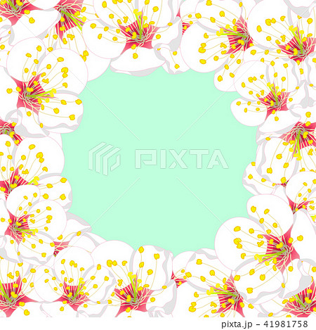 White Plum Blossom Flower Border on Green Mint 41981758