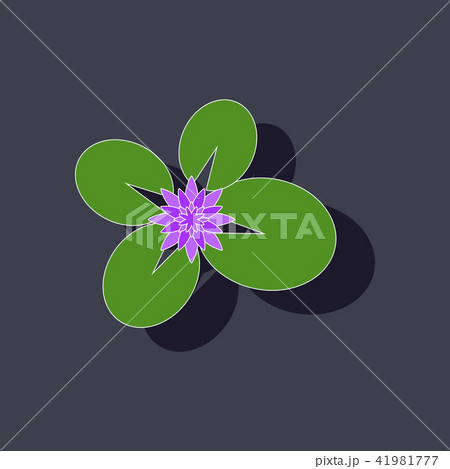 paper sticker on background of water lily 41981777