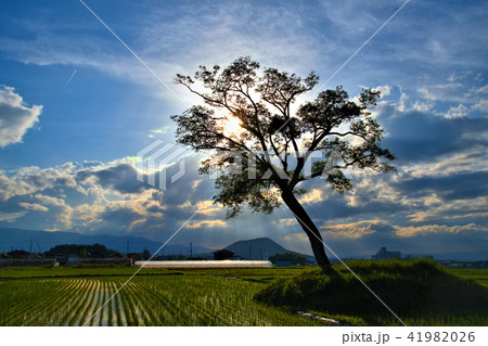 古宮土壇 41982026