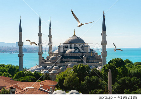 Mosque in Istanbul 41982188