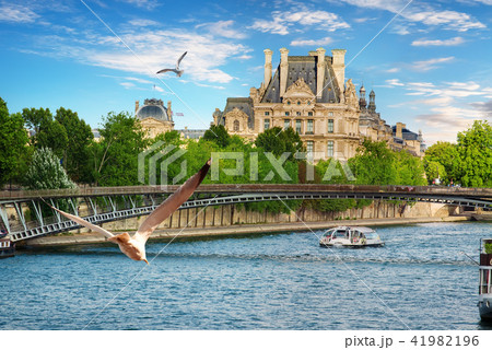 Seagulls over Seine 41982196