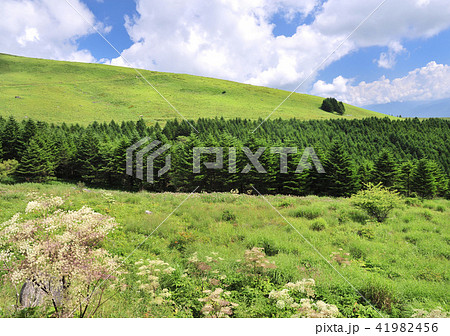 霧ヶ峰高原-17847 41982456