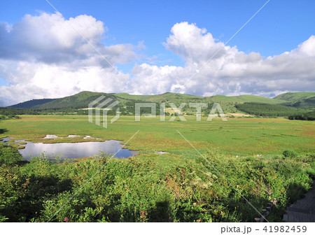 八島ヶ原湿原-17850 41982459