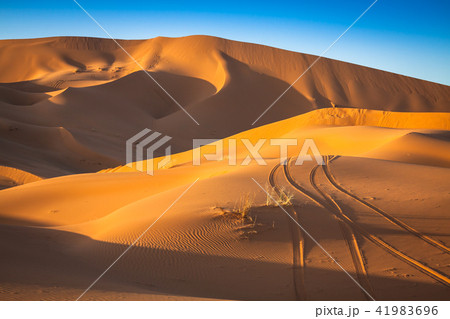 Desert dune at Erg Chebbi near Merzouga Desert dune at Erg Chebbi near Merzouga 41983696