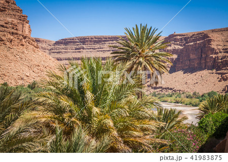 Wide view of canyon and cultivated fields  41983875