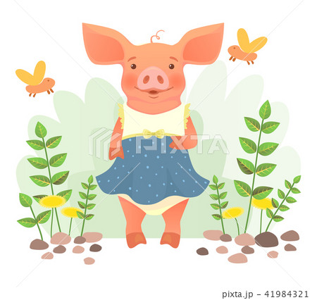 Piggy in dress Piggy in dress 41984321