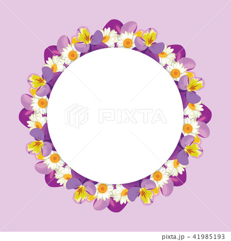 chamomile and pansies frame on pink purple background 41985193