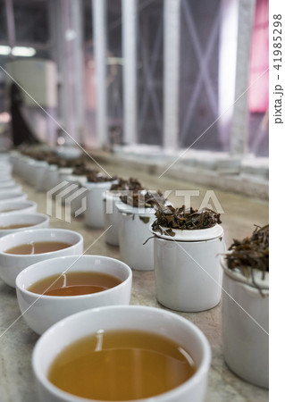 ダージリン 41985298