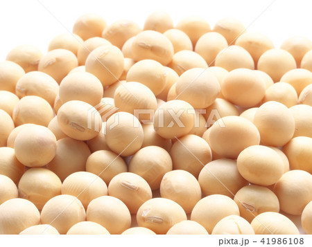 大豆 41986108