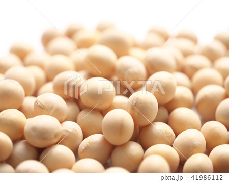 大豆 41986112