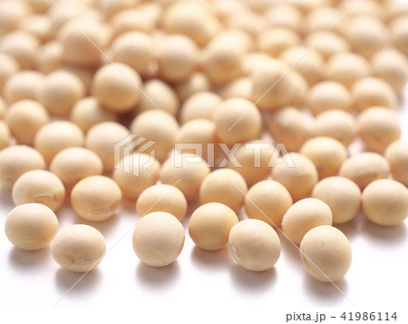 大豆 41986114