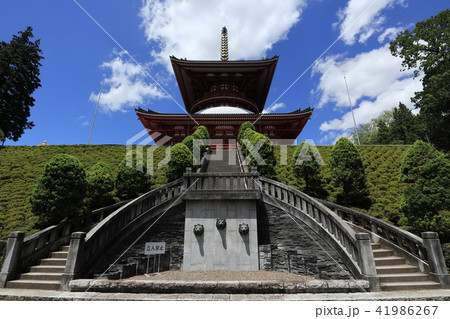 成田山新勝寺 成田山新勝寺 41986267