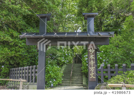 妙本寺の方丈門（鎌倉市大町） 41986673