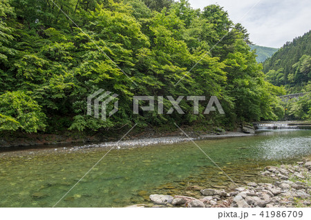 秩父市 旧大滝村 荒川中津川合流地点 秩父市 旧大滝村 荒川中津川合流地点 41986709