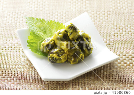 ナスの辛子漬け6 41986860