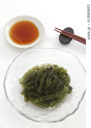 海ぶどう 41986865