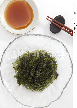 海ぶどう 41986867