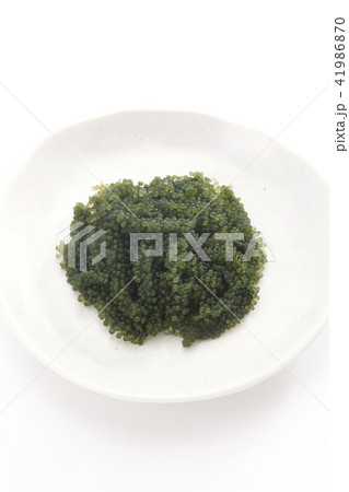 海ぶどう 41986870