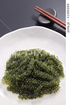 海ぶどう 41986889