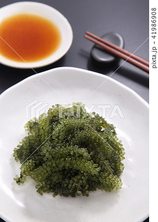 海ぶどう 41986908