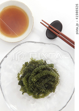 海ぶどう 41986926