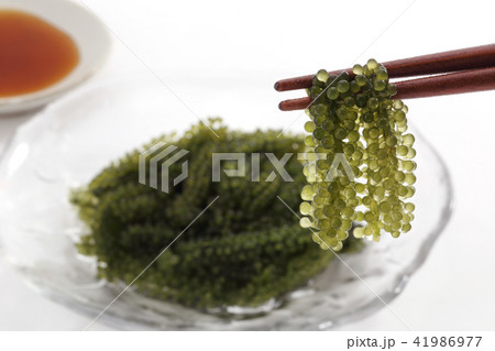 海ぶどう 41986977