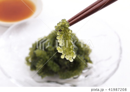 海ぶどう 41987208