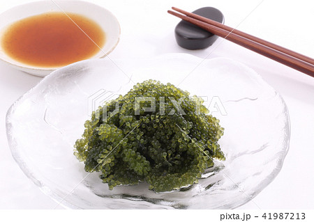 海ぶどう 海ぶどう 41987213