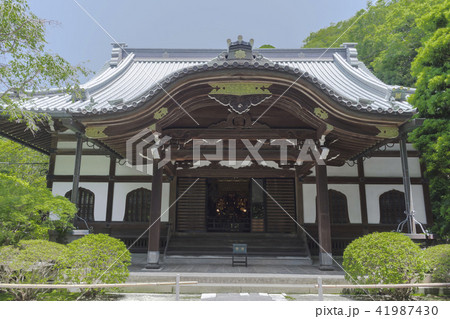 妙本寺の本堂(鎌倉市大町) 妙本寺の本堂(鎌倉市大町) 41987430