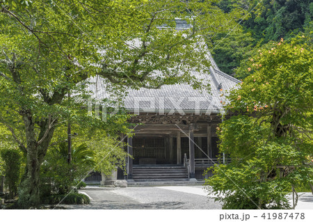 妙本寺の祖師堂（鎌倉市大町） 41987478