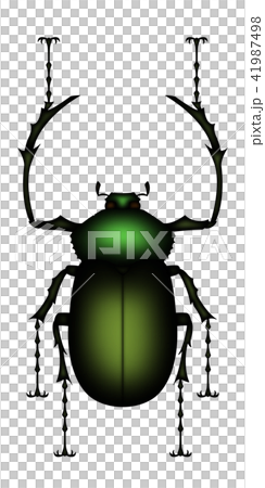 Euchirinae Euchirinae 41987498