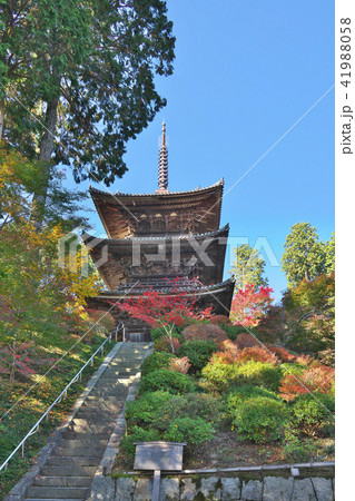 紅葉の常楽寺 紅葉の常楽寺 41988058