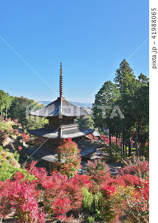 紅葉の常楽寺 41988065