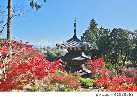 紅葉の常楽寺 41988068