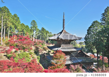 紅葉の常楽寺 紅葉の常楽寺 41988069