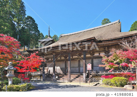 紅葉の常楽寺 紅葉の常楽寺 41988081
