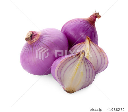 shallots isolated on white background 41988272