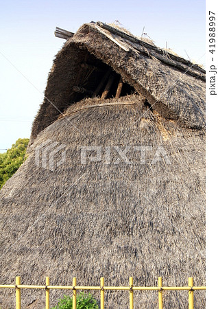 蜆塚遺跡住居 蜆塚遺跡住居 41988997