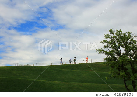 順天湾庭園 ガーデン 庭園 41989109