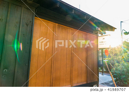 女性 メス 台湾 41989707