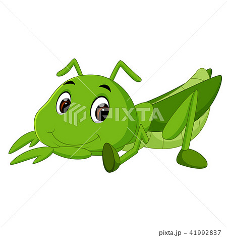 Praying mantis cartoon 41992837