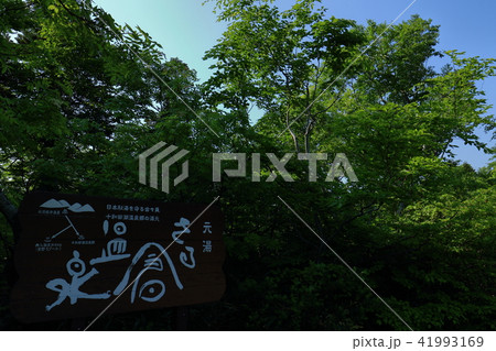 酸ヶ湯温泉旅館 41993169