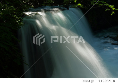 奥入瀬渓流 41993410