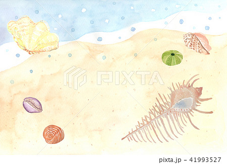 beach&shells 41993527