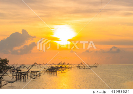 sunshine at  fishing trap at Pak Pra in Talay Noi 41993624