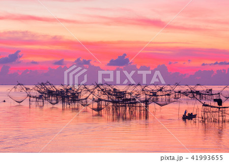 sunshine on  fishing trap at Pak Pra in Talay Noi 41993655