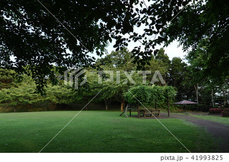 八戸 八戸 41993825