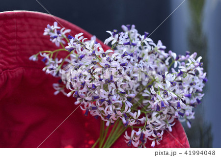 薫り アロマ アロマテラピー 41994048